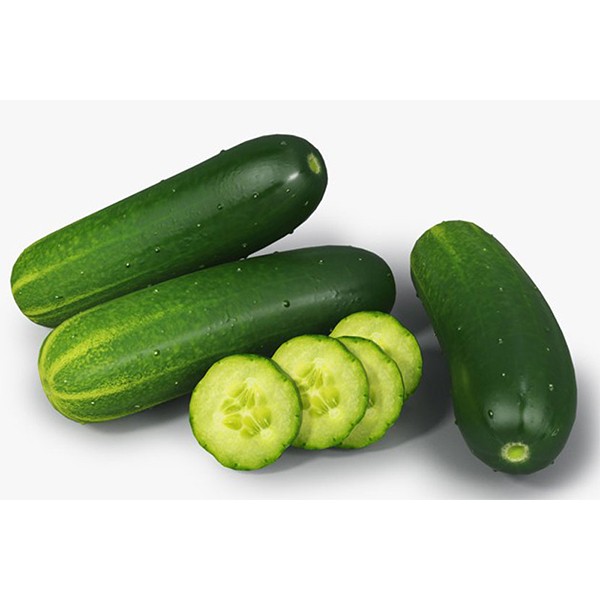 Cucumber