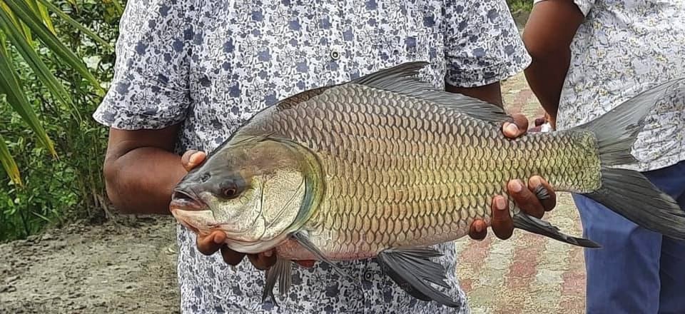 Savanna Farm Products promo