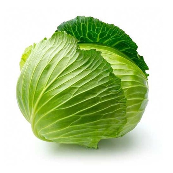 Cabbage
