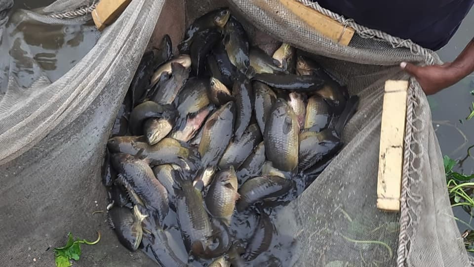 Savanna Farm Products promo